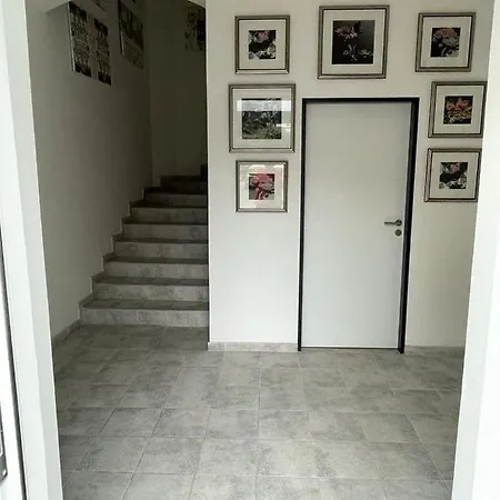 Apartments Gato Karlovy Vary Stara Role Exteriér fotografie